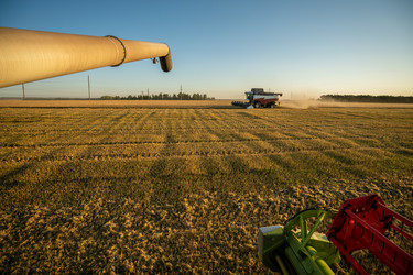 Similar image 21442375