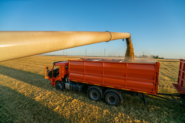 Similar image 21442378