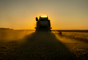 Similar image 21442380