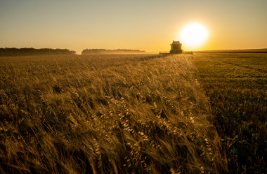 Similar image 21442381