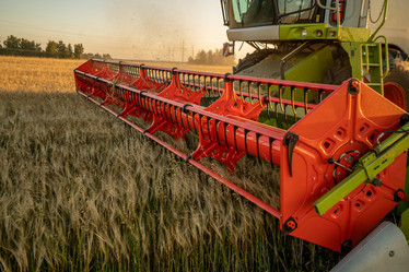 Similar image 21442387