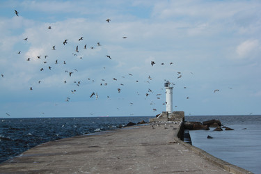 Similar image 21443831