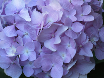 Similar image 21440118