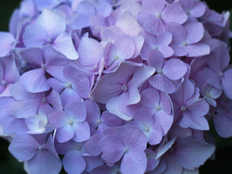 Similar image 21440119