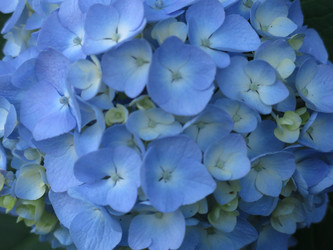 Similar image 21440120