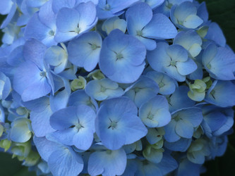 Similar image 21440121