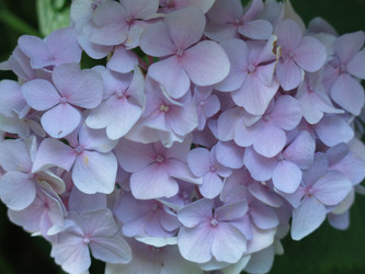 Similar image 21440122