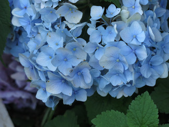 Similar image 21440123