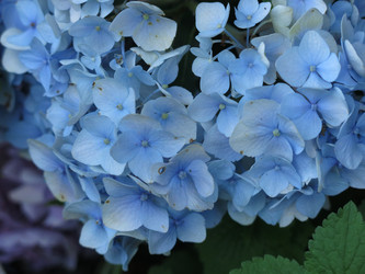 Similar image 21440124