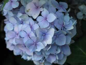 Similar image 21440125