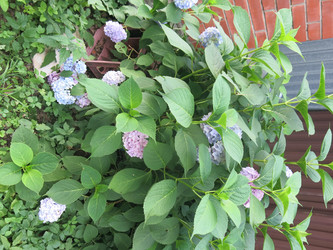 Similar image 21440126