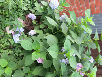 Similar image 21440127