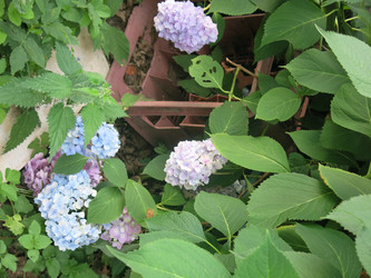 Similar image 21440128