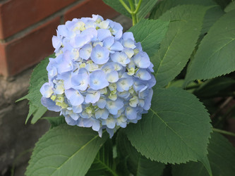 Similar image 21440129