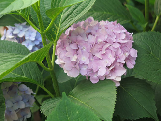 Similar image 21440130