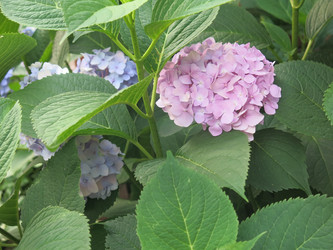 Similar image 21440131