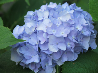 Similar image 21440132