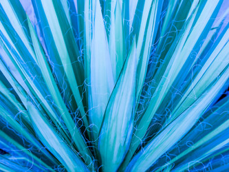 Similar image 21443511