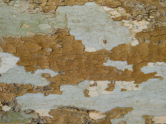 Similar image 21443513