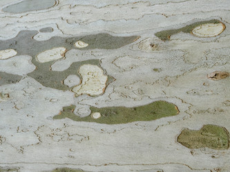 Similar image 21443712