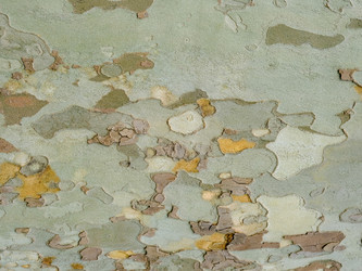 Similar image 21443515