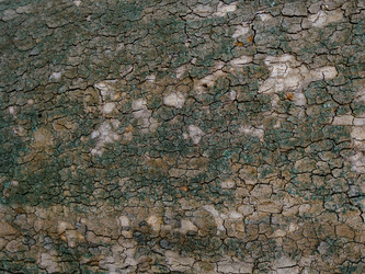 Similar image 21443714