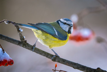 Similar image 21441130