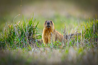 Similar image 21441131