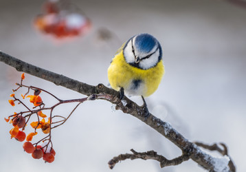 Similar image 21441305