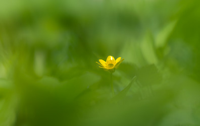 Similar image 21441309