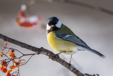 Similar image 21441313