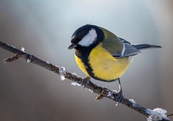 Similar image 21441317