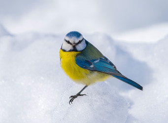 Similar image 21441321