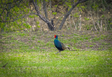 Similar image 21441322