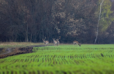 Similar image 21441325