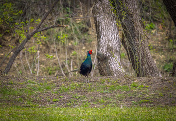 Similar image 21441326