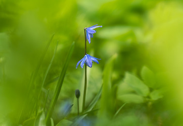 Similar image 21441329