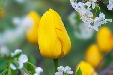 Similar image 21441331