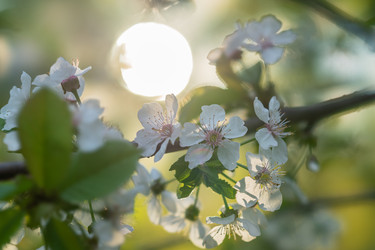 Similar image 21441335