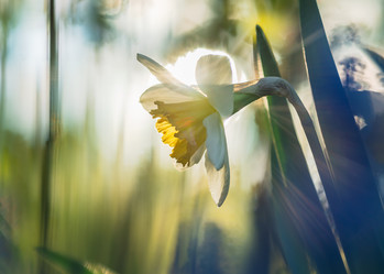 Similar image 21441337