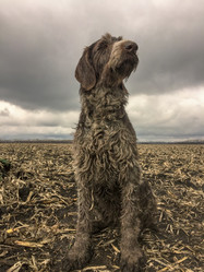 Similar image 21441494