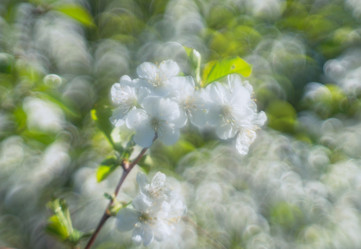 Similar image 21441500