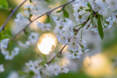 Similar image 21441502