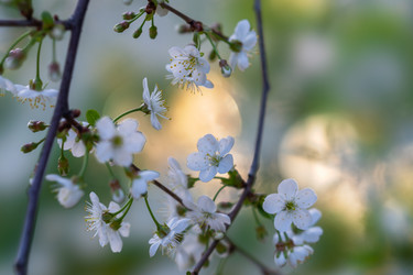 Similar image 21441504