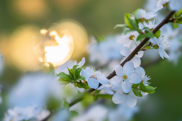 Similar image 21441506