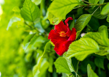 Similar image 21441507