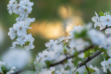 Similar image 21441508