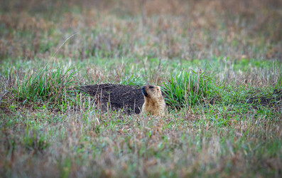 Similar image 21441510