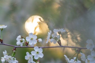 Similar image 21441511