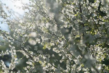 Similar image 21441516